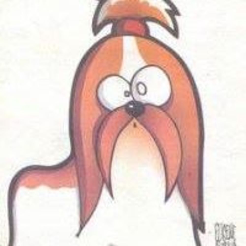 Meet your Posher, Viola